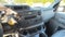 2024 Ford E-350SD Base Cutaway