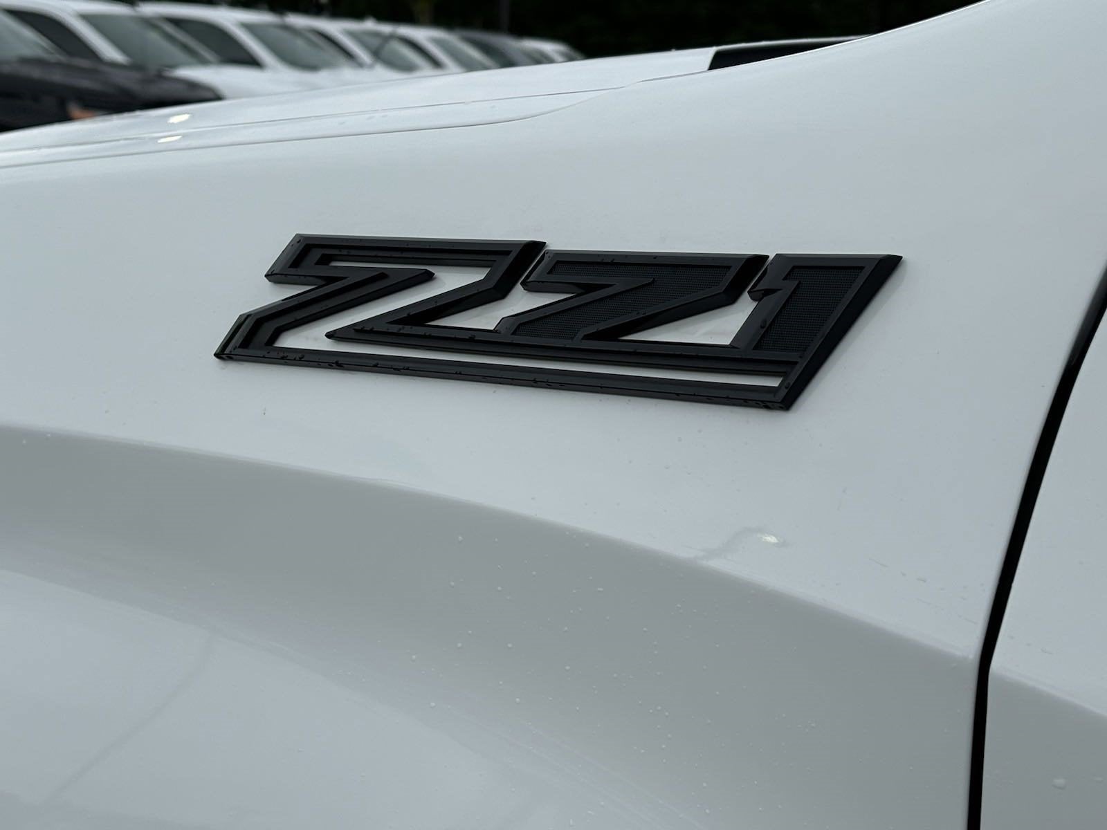 2021 Chevrolet Silverado 1500 Custom Trail Boss