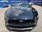 2023 Ford Mustang GT Premium
