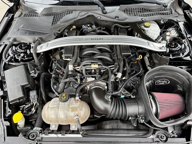 2019 Ford Mustang Bullitt