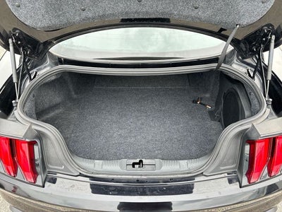 2019 Ford Mustang Bullitt