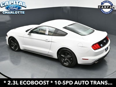 2019 Ford Mustang EcoBoost