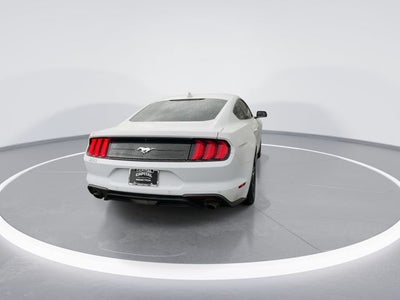 2021 Ford Mustang EcoBoost
