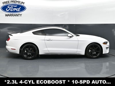 2019 Ford Mustang EcoBoost