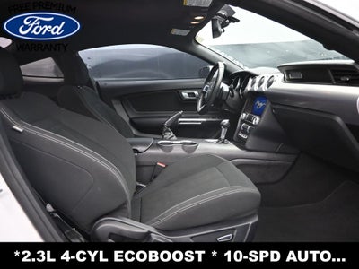 2019 Ford Mustang EcoBoost