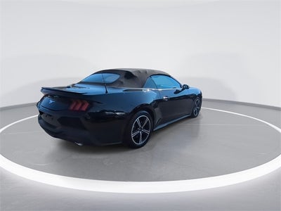 2024 Ford Mustang EcoBoost Premium