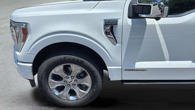 2021 Ford F-150 Platinum