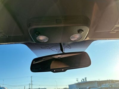 2010 Ford Mustang Shelby GT500