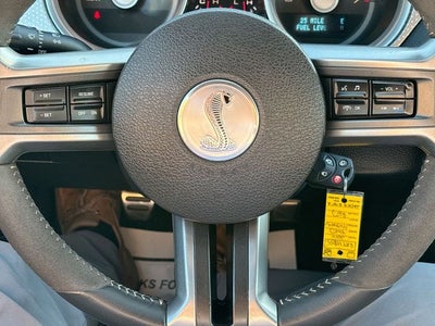 2010 Ford Mustang Shelby GT500