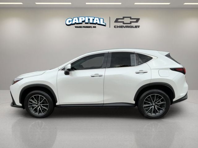 2024 Lexus NX 250 Premium