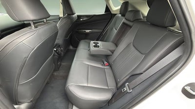 2024 Lexus NX 250 Premium