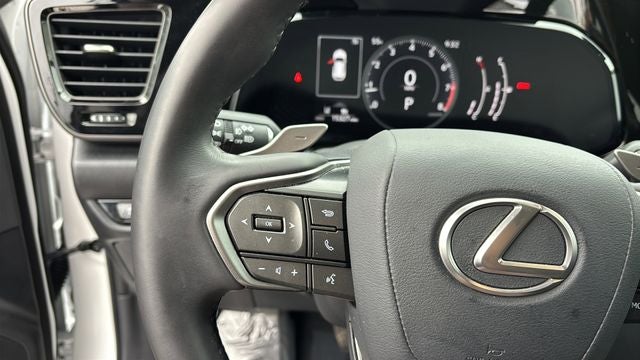 2024 Lexus NX 250 Premium