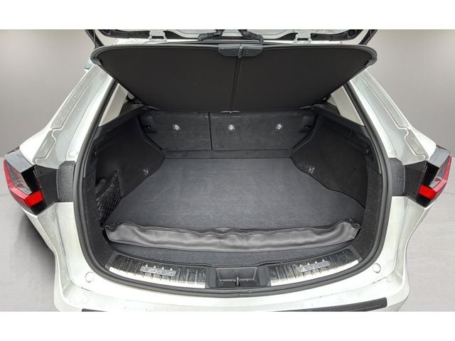 2024 Lexus NX 250 Premium