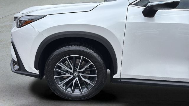 2024 Lexus NX 250 Premium