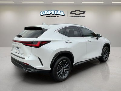 2024 Lexus NX 250 Premium