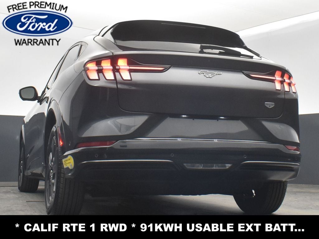 2022 Ford Mustang Mach-E California Route 1