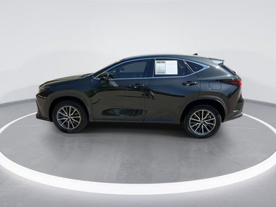 2024 Lexus NX 350 Premium