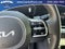 2025 Kia Carnival SX
