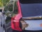 2019 Volvo XC90 T6 Inscription
