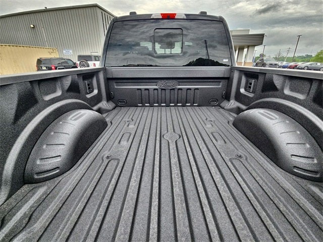 2025 Ford F-250SD Platinum