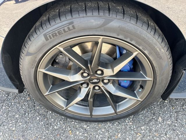 2025 Ford Mustang Dark Horse