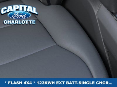 2025 Ford F-150 Lightning Flash™