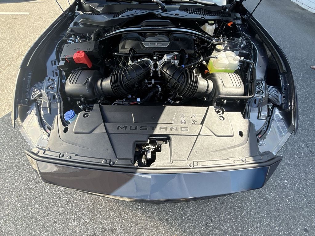 2025 Ford Mustang Dark Horse