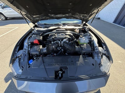 2026 Ford Mustang Dark Horse