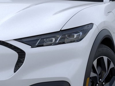 2026 Ford MUSTANG MACHE Select