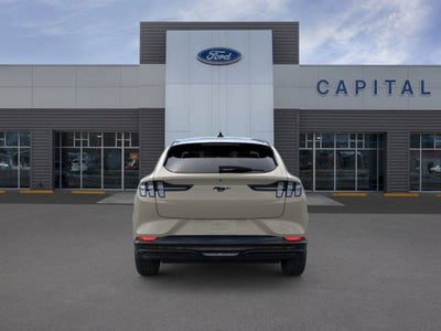 2025 Ford MUSTANG MACHE Premium