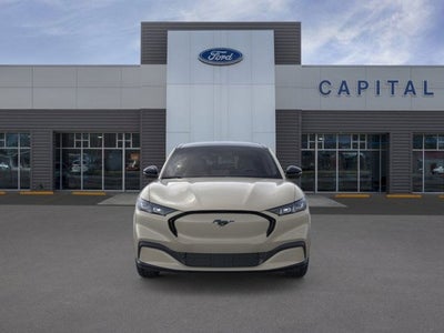 2025 Ford MUSTANG MACHE Premium