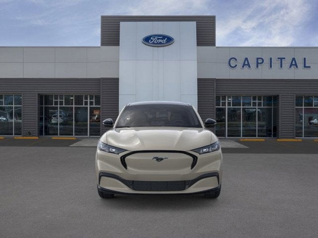 2025 Ford MUSTANG MACHE Premium