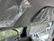 2027 Ford E-350SD 16FT BOX/RAMP Commercial