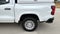 2024 Chevrolet Colorado Work Truck