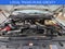 2019 Ford F-550 Chassis XL