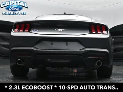 2025 Ford Mustang EcoBoost