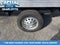2024 Ford Transit Chassis Cutaway