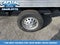 2024 Ford Transit Chassis Cutaway
