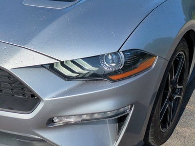 2022 Ford Mustang EcoBoost