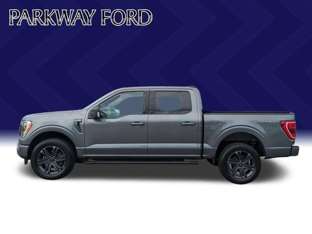 1FTEW1EP3PFA80868