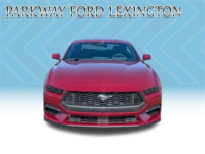 2025 Ford Mustang EcoBoost