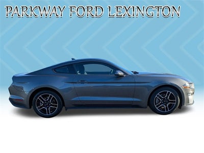 2022 Ford Mustang EcoBoost