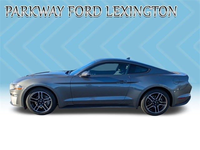2022 Ford Mustang EcoBoost